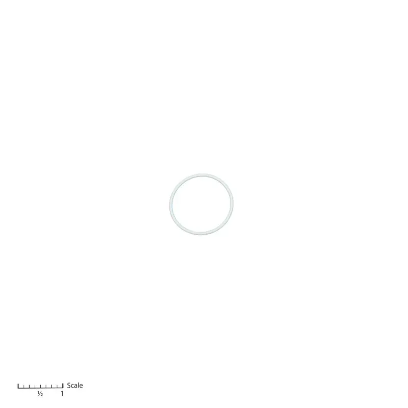 Aftermarket GRACO® 107098 Teflon O-Ring, intake seat (Non-OEM)