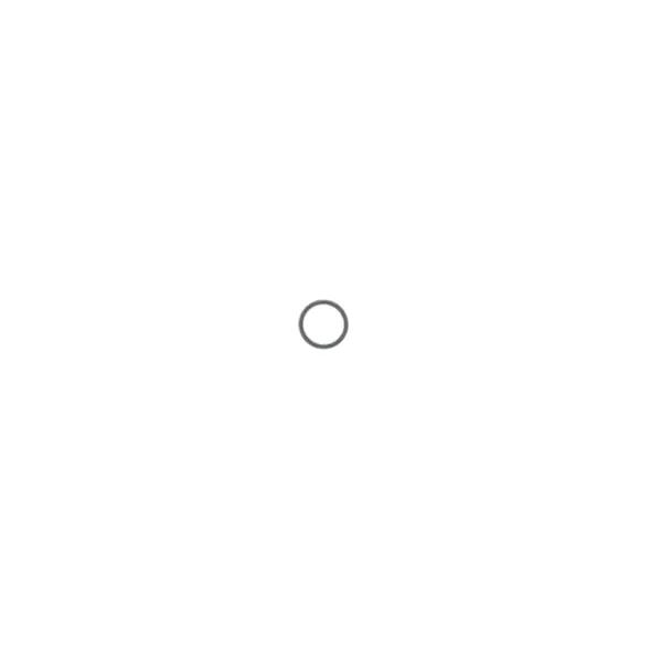 SATAjet 20 B 8 x 1 O-Ring
