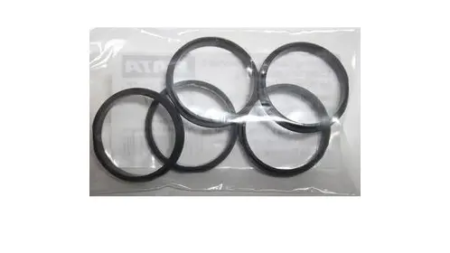 SATAminijet 4400 B Sealing Ring (5 Pk)