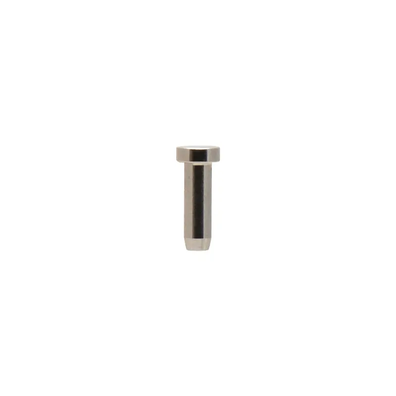 Valve Piston I5001; Iwata Custom Micron